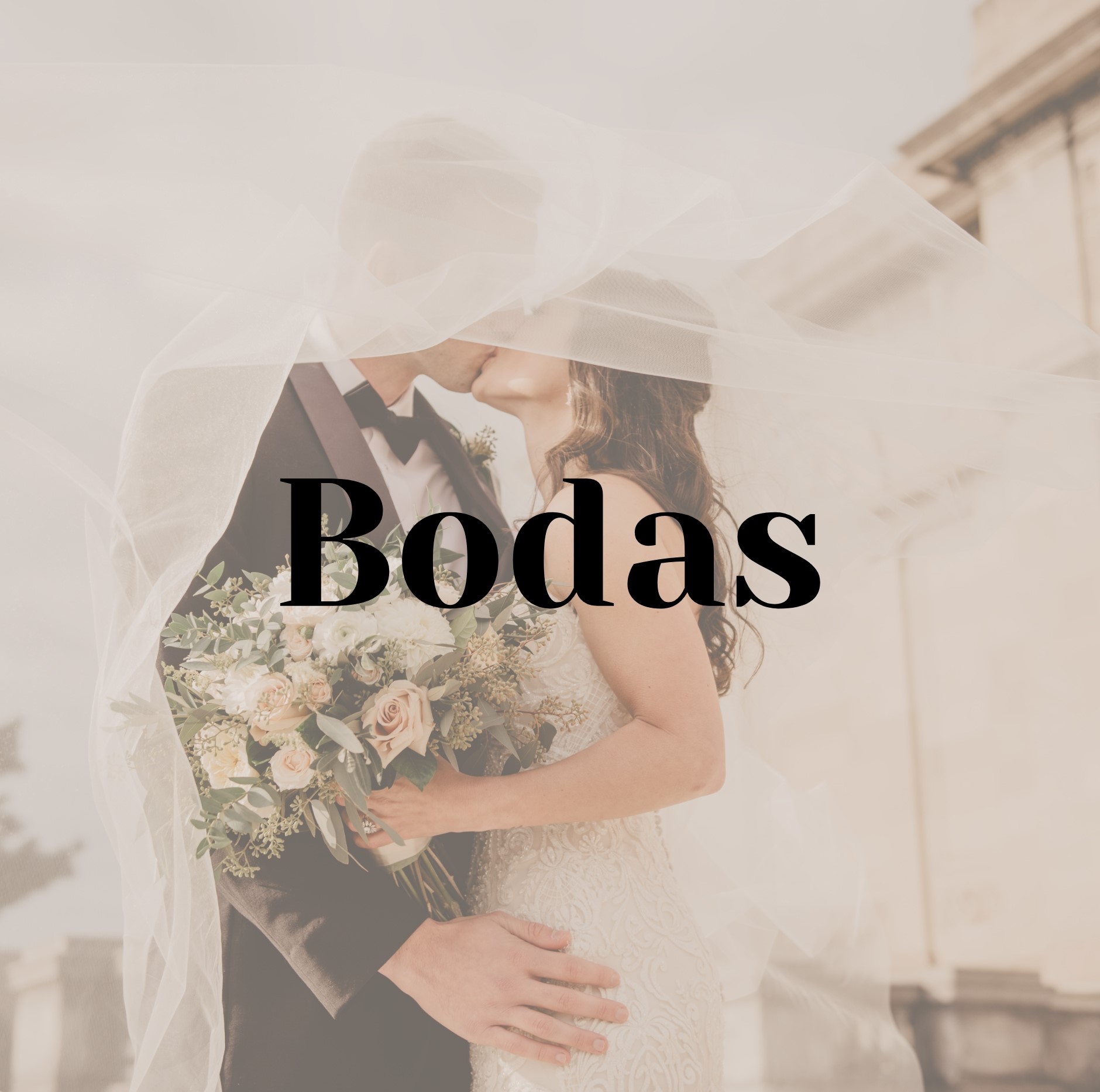 Bodas