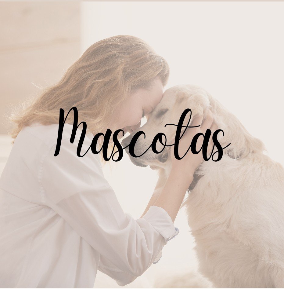 Accesorios mascotas